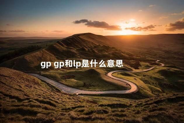 gp gp和lp是什么意思